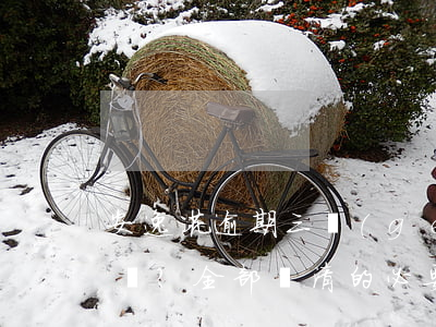 安逸花逾期三個(gè)月，還能還款嗎？全部還清的必要性是什么？